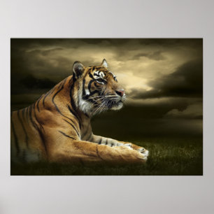 Tiger schauend und sitzend unter einem dramatische poster