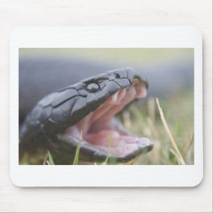 Tiger-Schlange Mousepad