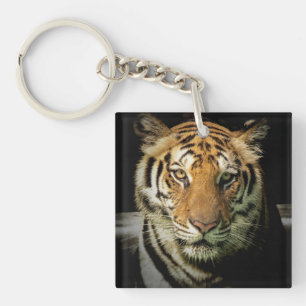 Tiger Schlüsselanhänger