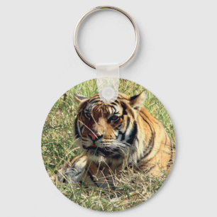 Tiger Schlüsselanhänger