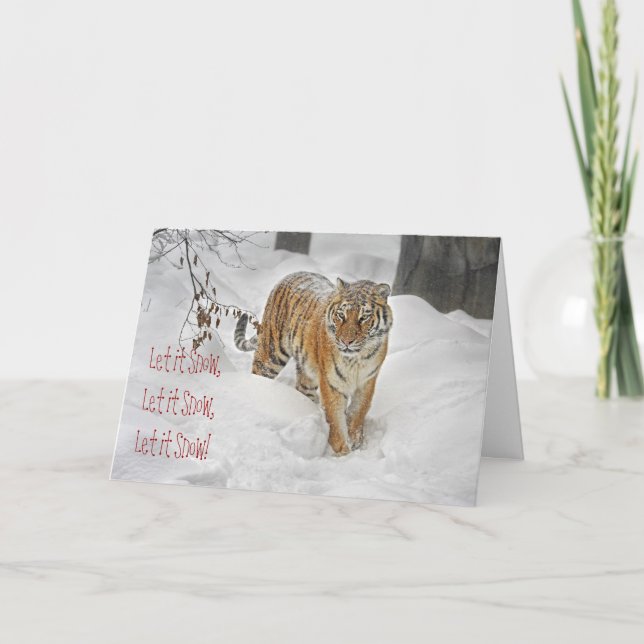 Tiger-Schneeweg Feiertagskarte (Vorderseite)