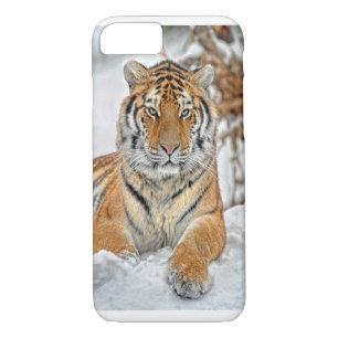 Tiger-Schönheit im Schnee Case-Mate iPhone Hülle