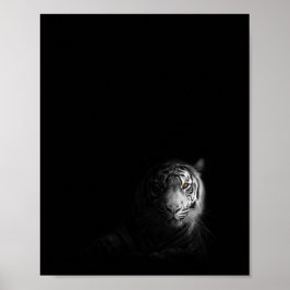 Tiger, Schwarz-Weiß-Foto, Poster