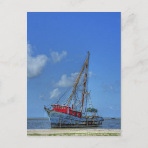 Tiger Shark Postkarte