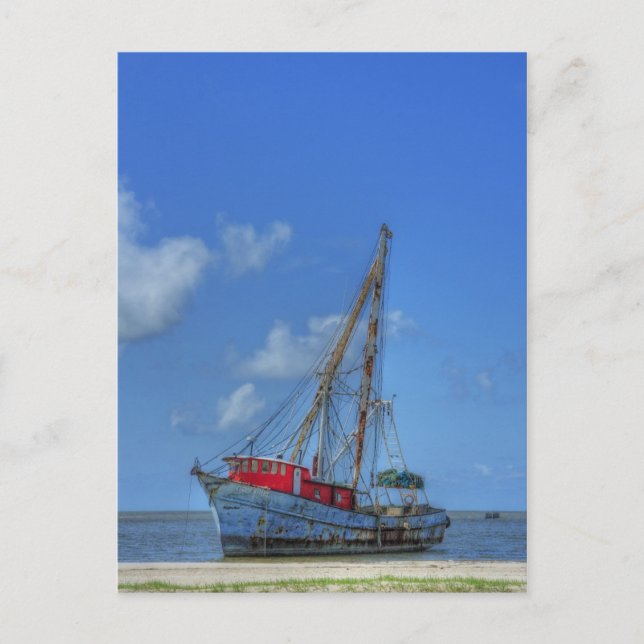 Tiger Shark Postkarte (Vorderseite)