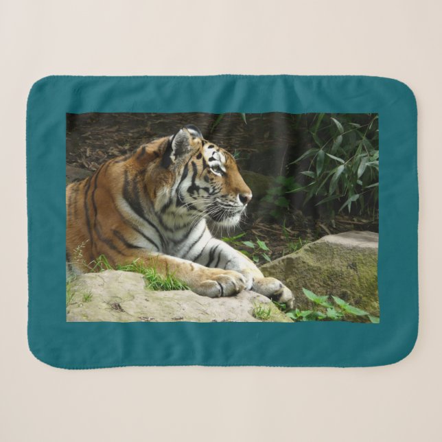 Tiger Sherpadecke (Vorderseite (Horizontal))
