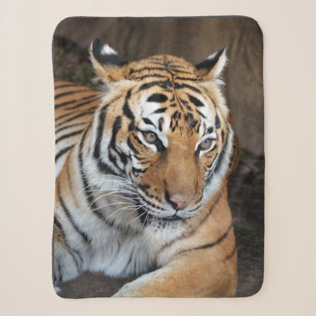 Tiger Sherpadecke (Vorderseite)