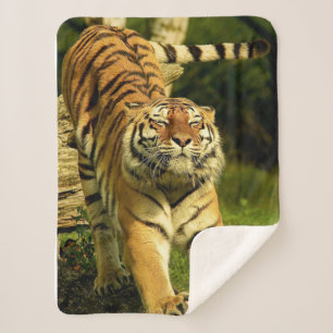 Tiger Sherpadecke