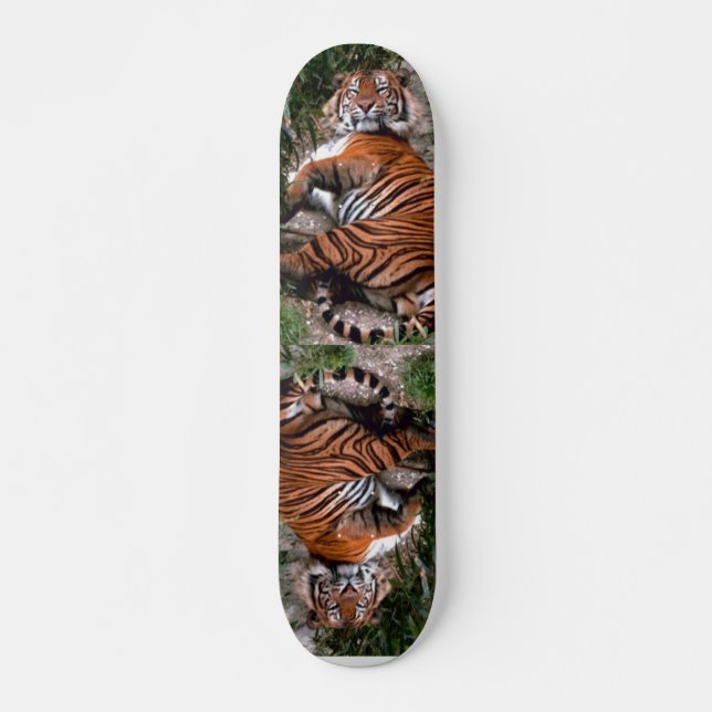 Tiger Skateboard (Vorne)