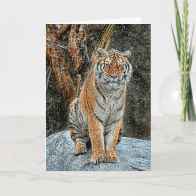 Tiger Snow Fall Holiday Card Feiertagskarte (Vorderseite)