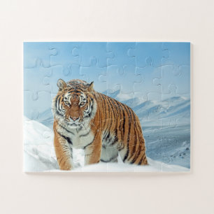 Tiger Snow Mountains Tierisches Foto Trendy