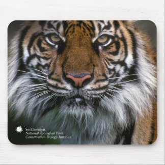 Tiger Soyono Smithsonian | Sumatran Mousepad