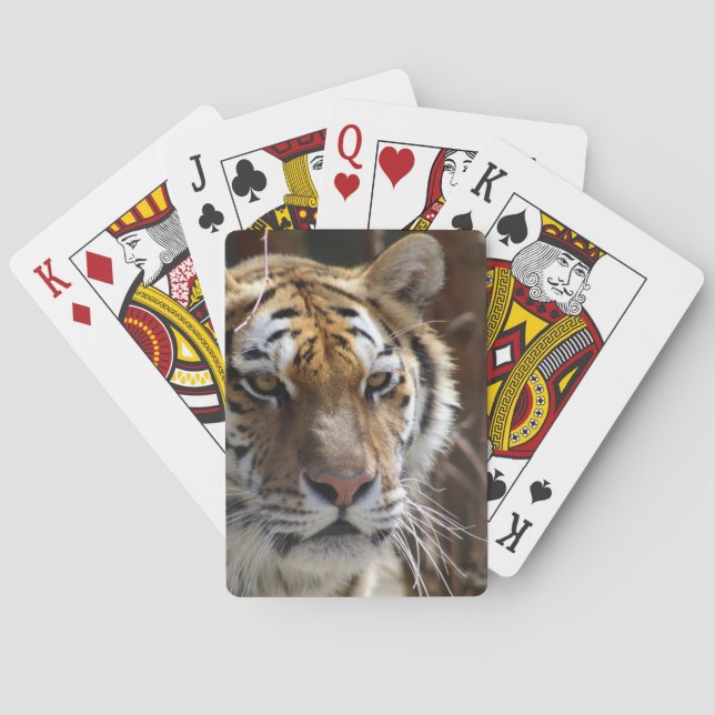 Tiger Spielkarten (Rückseite)