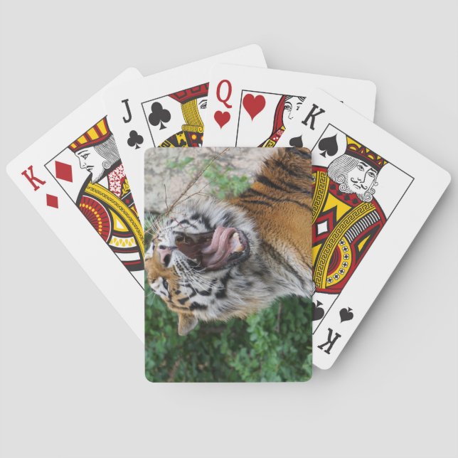 Tiger Spielkarten (Rückseite)