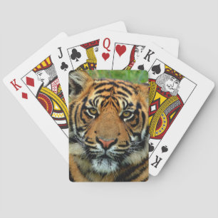 Tiger Spielkarten
