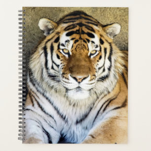 Tiger Spiral Planificateur hebdomadaire/mensuel