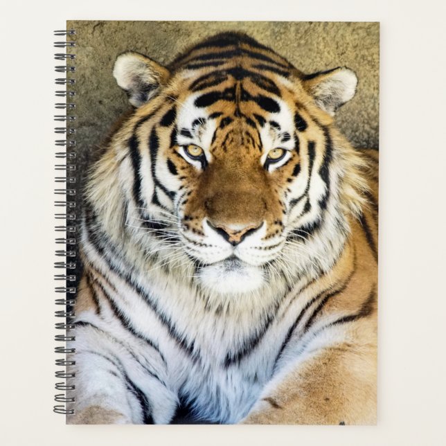 Tiger Spiral Planificateur hebdomadaire/mensuel (Devant)