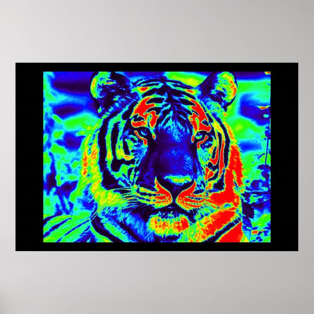 Tiger Spirit Poster (Vorne)