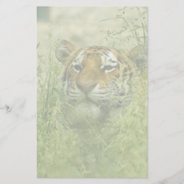 Tiger stationär briefpapier (Vorderseite)