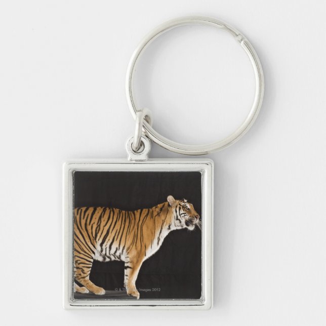 Tiger stehend auf Plattform Schlüsselanhänger (Vorne)