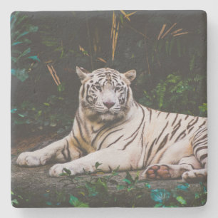 Tiger Steinuntersetzer