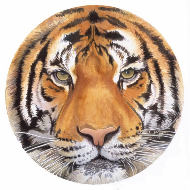 "Tiger-Stellen-" Tiger-Gesichts-Aquarell-Kunst Fotoskulptur Ornament (Vorne)
