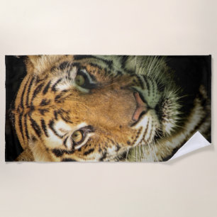 Tiger Strandtuch