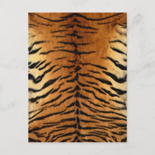Tiger Strip Fur Print Postkarte