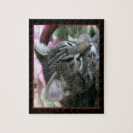 Tiger Stripe Kitty Jigsaw Puzzle
