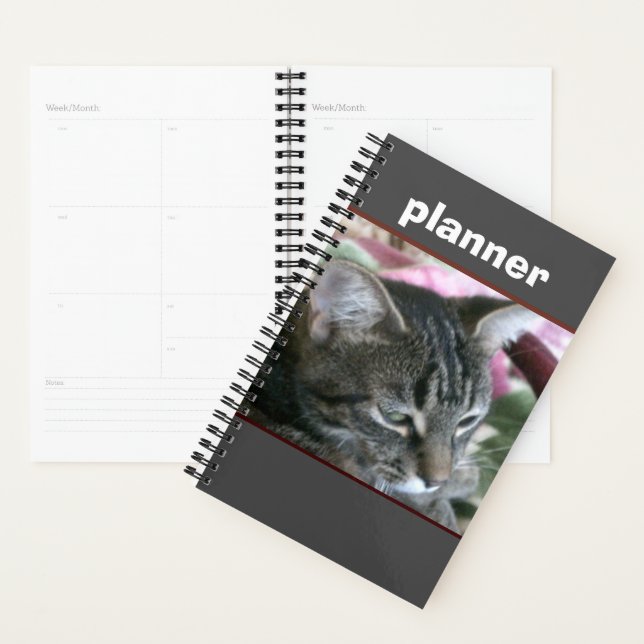 Tiger Stripe Kitty Planner (Devant avec enveloppe)