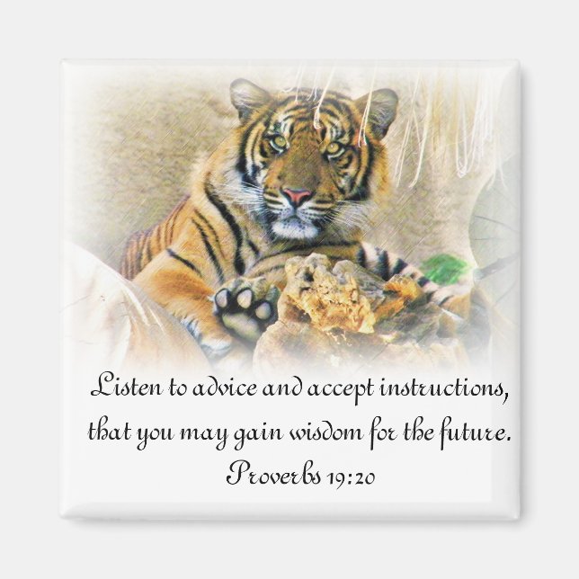 Tiger, Suche_ Magnet (Vorne)