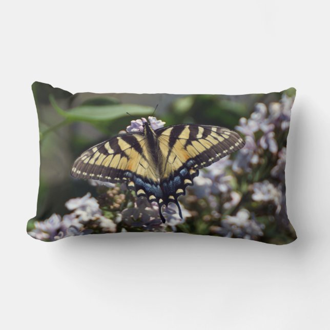 Tiger Swallowtail Lumbar Coussin (Recto)