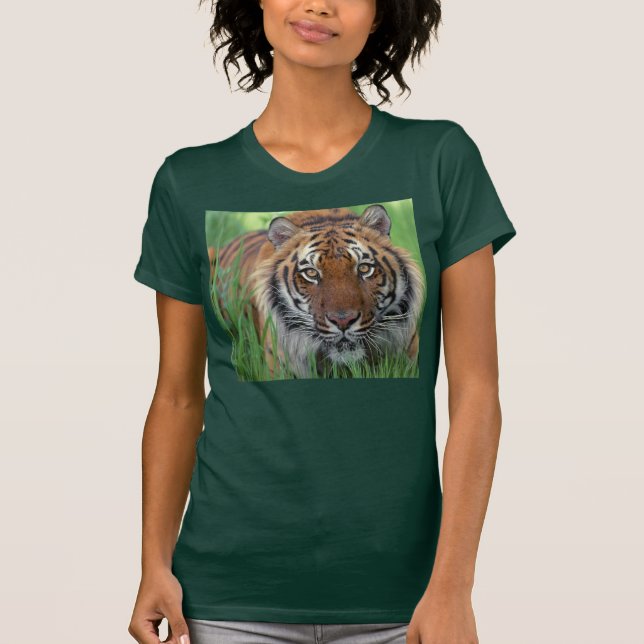 Tiger T-Shirt (Vorderseite)
