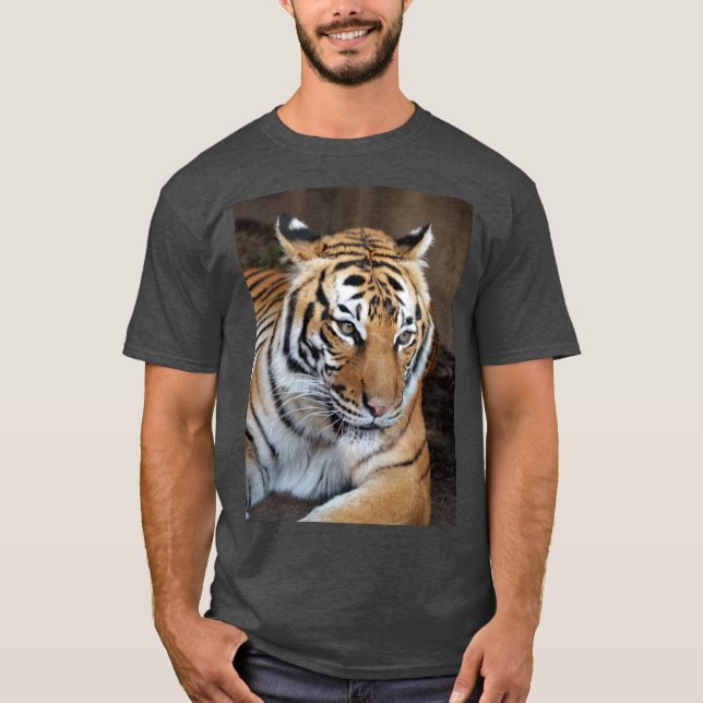 Tiger T-Shirt (Vorderseite)