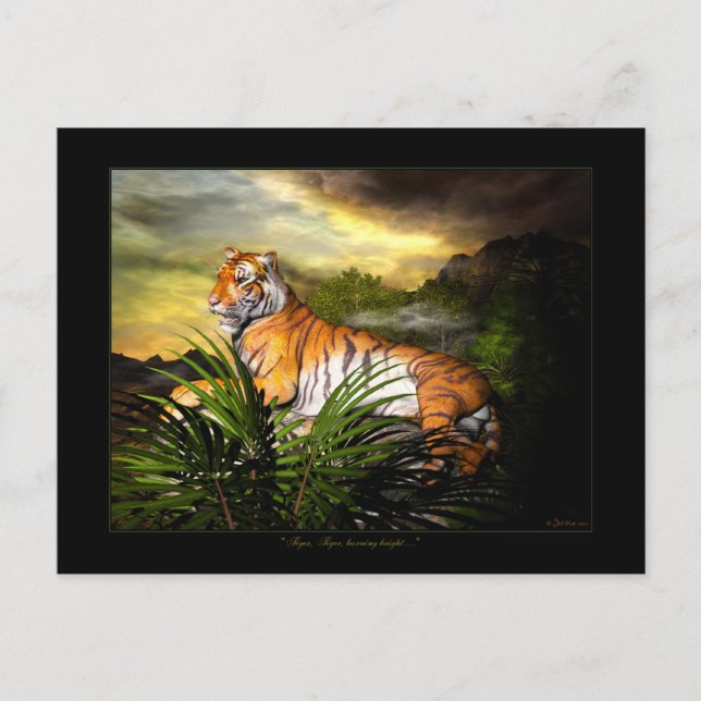 Tiger, Tiger, brennende helle Postkarte (Vorderseite)
