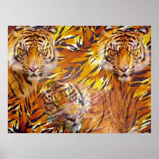 Tiger Time_ Poster (Vorne)