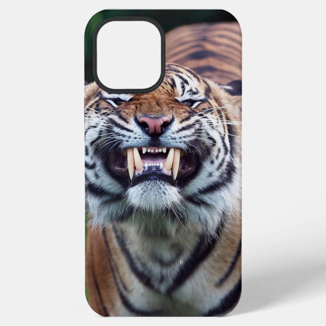 "Tiger Tooth" iPhone 12 Pro Max Hülle (Rückseite)