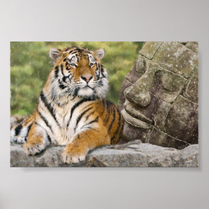 Tiger und buddhistischer Tempel Poster