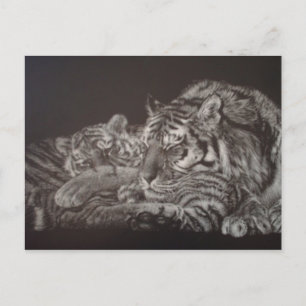 Tiger und Cube Postcard Postkarte