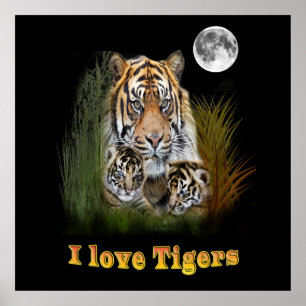 Tiger und Drehkreuze Poster