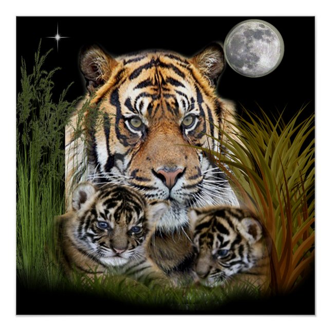 Tiger und Drehkreuze Poster (Vorderseite)