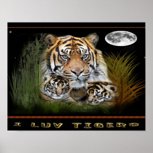 Tiger und Poster