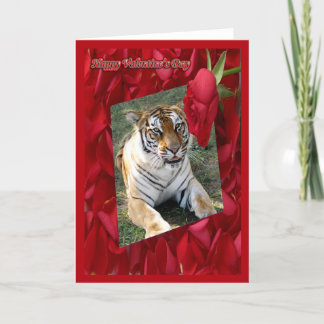 Tiger Valentine Card Feiertagskarte
