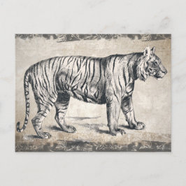 Tiger Vintag Wildlife Grunge Decorative Postkarte