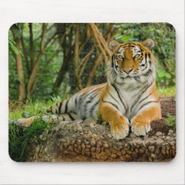 Tiger-voller Körper Mousepad