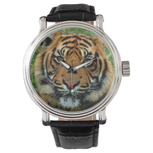 Tiger Watch Armbanduhr (Vorderseite)