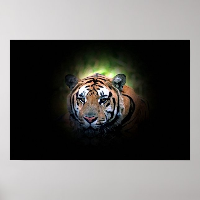 Tiger - Wild Big Cat Poster (Vorne)