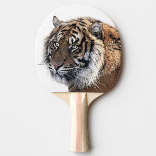 Tiger-Wilddschungelzoo-Foto Tischtennis Schläger