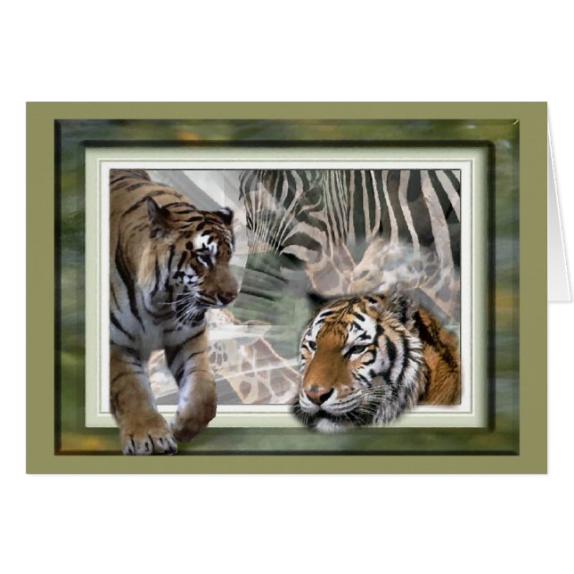 Tiger, Zebra, Giraffe, Liebesgeschenke (Vorderseite (Horizontal))