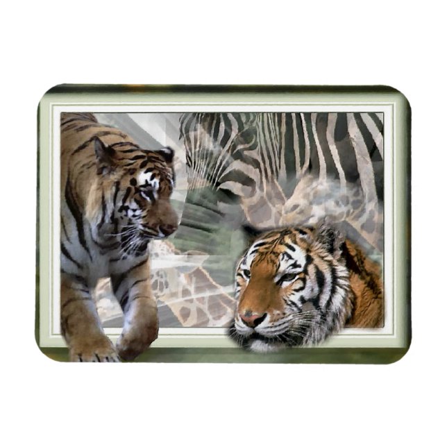 Tiger, Zebra, Giraffe, Urwald Magnet (Horizontal)